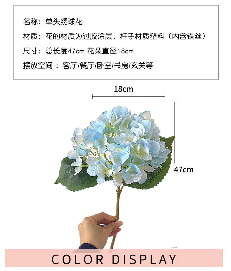 单头绣球花_04.jpg