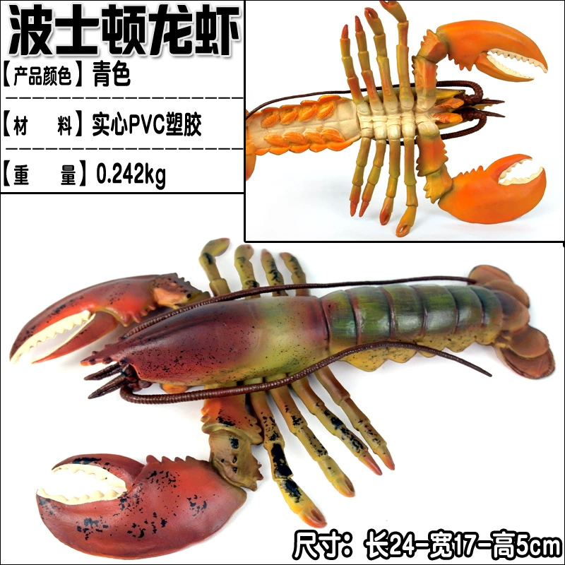 Игрушка, большие морские когнитивные украшения