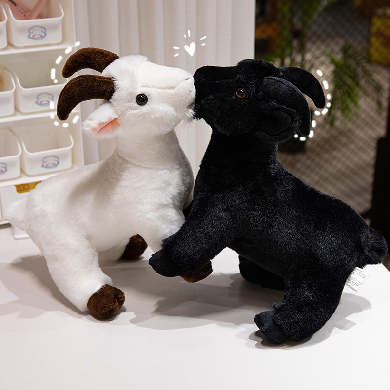 Toy