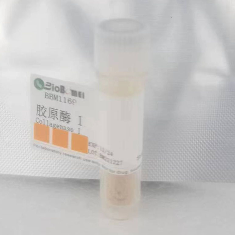 胶原酶I /  Collagenase I   科研实验试剂CAS:9001-12-1