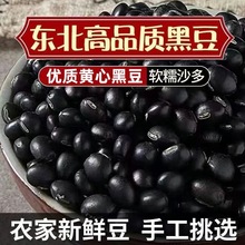 新货黑豆打豆浆黄心黑小豆打豆浆醋泡生豆芽黑豆纯黑豆子农家自产