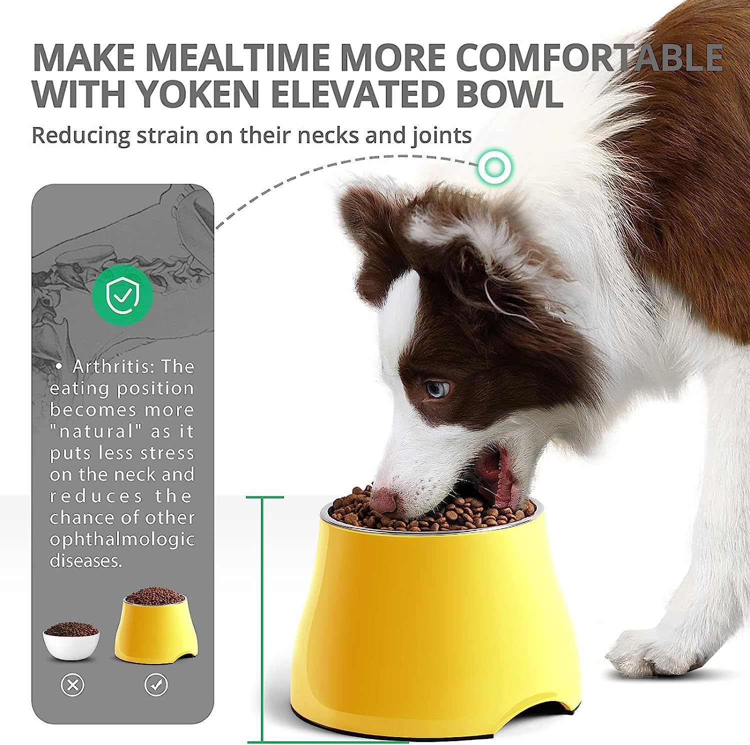 Pet Bowl Image 3