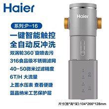 海尓全屋自来水前置过滤器家用净水反冲洗大流量中央净水器HP-16