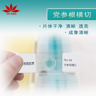 �h�����M�� �M��������Ƭ�ݱ�ֲ�����Ƭ�˱� �̌W����@΢�R�^��