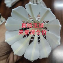 �S��ֱ�N��ë���Č��ó��ˌ��I��ë���ʹ�12ֻ�Zë��o����ë��