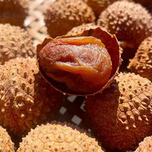 ���x22A��؛���w����֦������СŴ��������Ц��ζ����֦�����l