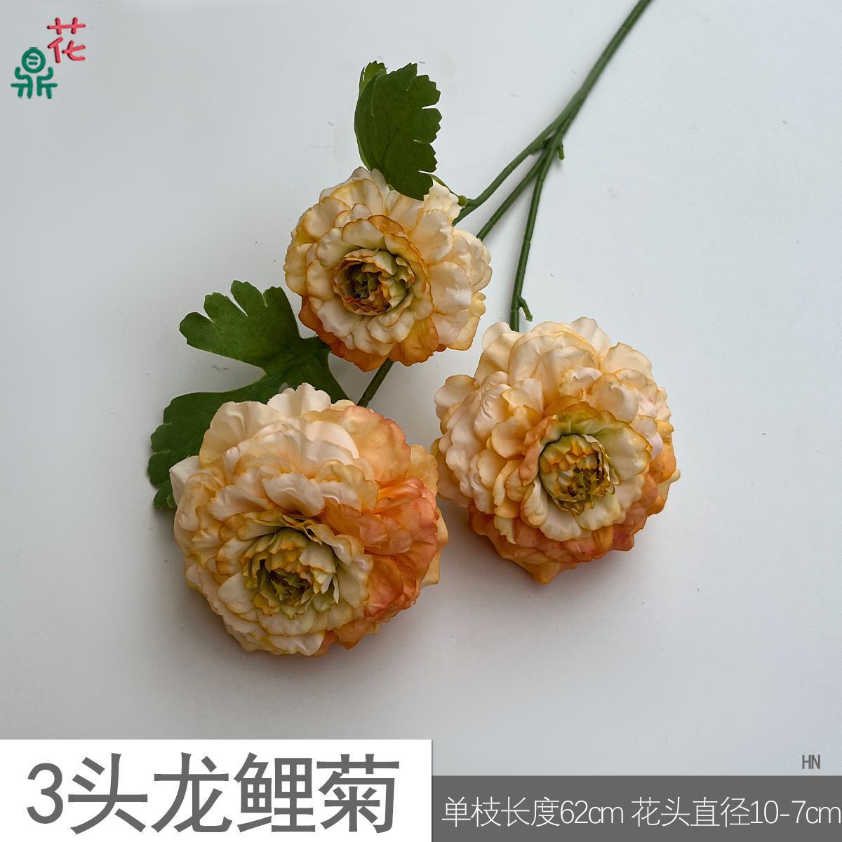 용동국화 3개 HN 오렌지