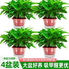 ���~�G�}�����҃��k����ֲ�����l�S���Q���l�S�羳���l�����