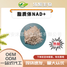 脂质体β烟酰胺腺嘌呤二核苷酸NAD50%70%高稳定纳米粒径可拿样