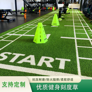 Hot Selling Gym Artificial Turf Pattern Logo Design Personal Training Lawn Runway Scale White Line Shock-Absorbing Mat