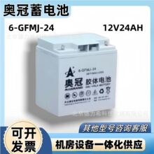 �W����늳�6-GFMJ-24�C��UPS�ԴEPSֱ����2V24AH̫���1�z�w늳�