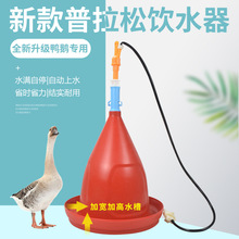 新款普拉松饮水器家禽自动饮水养鸡养鸭鹅水壶养殖用用具