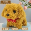 Terring Teddy