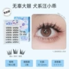 [New glue-free model] Wang Xiaoguai