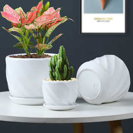 花盆 陶瓷批发大号简约北欧ins绿萝白色桌面绿植花盆三件套定制