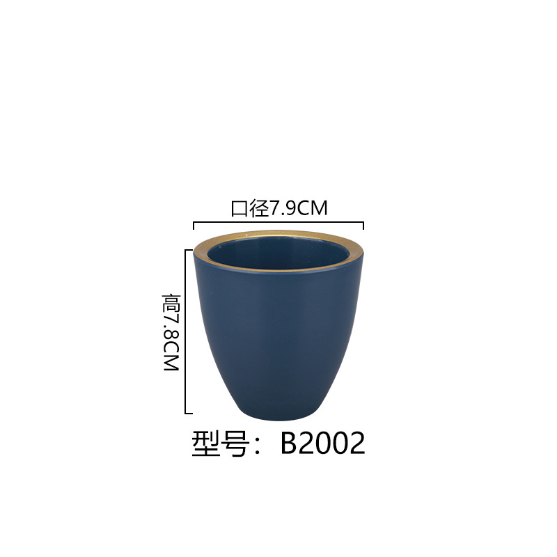 B2002*100 블루 골드