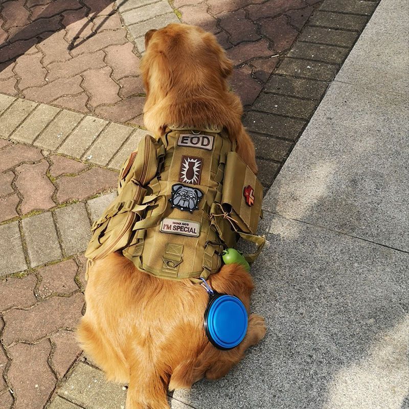 犬服中大型犬タクティカルベストペットゴールデンレトリバーガーデンダウジアストラップリードベストベスト|undefined