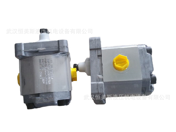 美国DANFOSS萨奥丹佛斯齿轮泵SNP2NN/025LN02DBP1C8C7NNNN/NNNNN