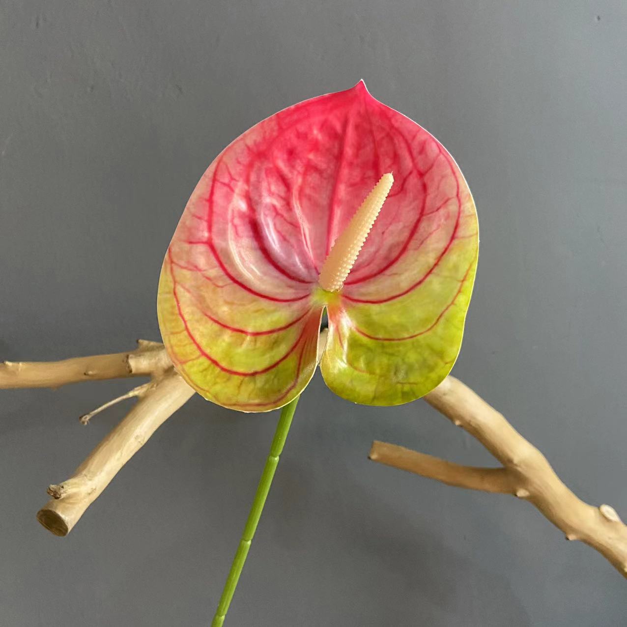 #11 (색상 당 10 개의 스틱 픽업, 덜 쏘지 마십시오)