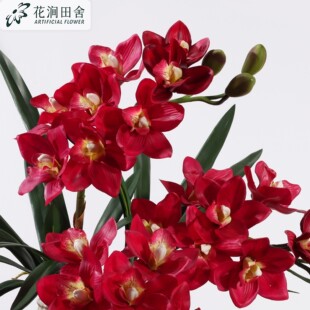 �����ָ�ޥ�m�� 8�^�^�{�m����c���滨�����b������ĵ��߼ٻ�