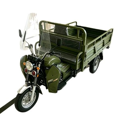 canopy for passenger transportation, Sərnişin üçtəkərli motosikllar