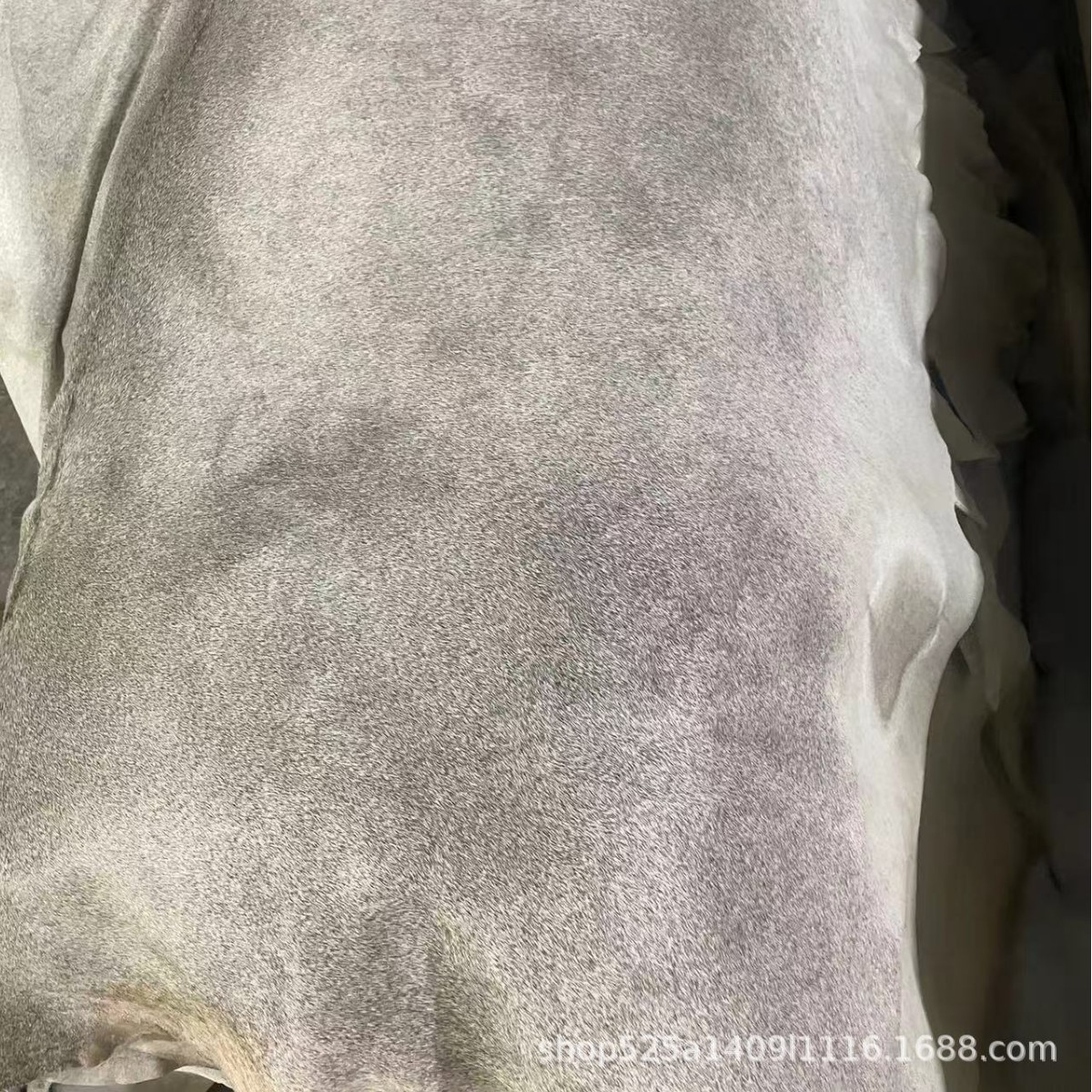 2025-04-26 13:16:50.jpg