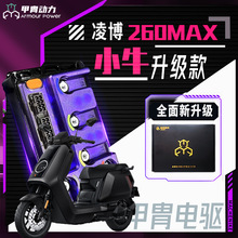 凌博S/E260MAX控制器小牛NT/NX/Nplay/NXT/NTplay大师版锂电鲲铭