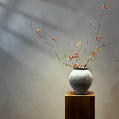 海虹の景品の山から帰ってきた木の枝は偽の花の緑の植禅の意味をシミュレーションします。