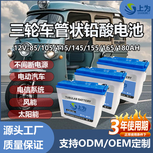 管式大容量水電池DG180150A電動三輪車電瓶DG300高容量摩托車專用