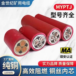 MYPTJú�V���Ƅӽ������αOҕ������ܛ��|8.7/10KV��ȼ��������