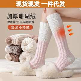 秋冬珊瑚绒袜子女保暖长筒袜小腿毛绒加厚睡眠袜加绒家居袜子批发