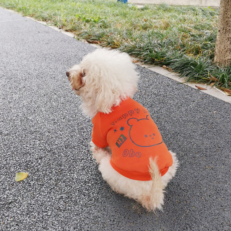 Muñeca oso lindo cachorro suéter forrado de lana oso de peluche medio y pequeño perro ropa otoño e invierno ropa para mascotas