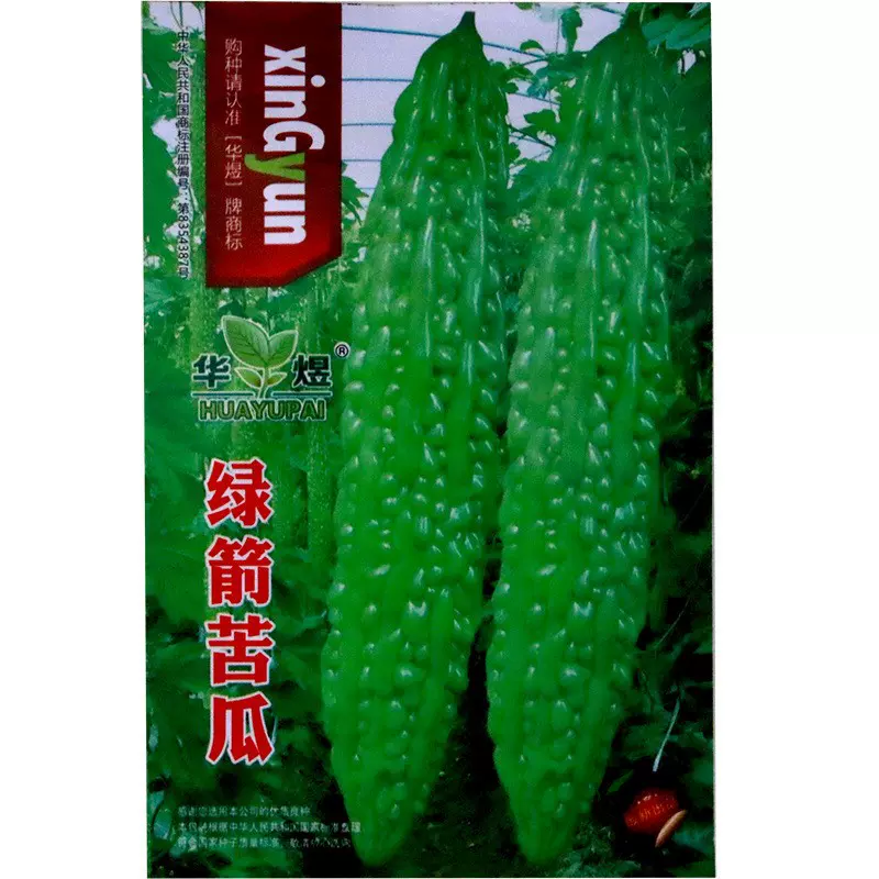 绿色苦瓜种子春夏秋冬季早熟种苗四季春季种植苦瓜种籽