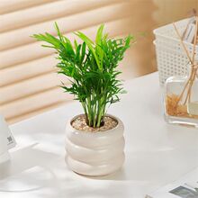 ����Ҭ��ɢβ�����ֲ�ﱱ�W�L�k���҃ȿ͏d�Gֲ�������ԃ����՚�