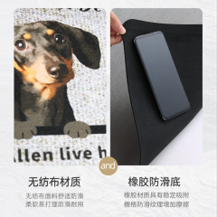 無紡布入戶進門地墊免費做圖廣告禮品LOGO地毯絨面印花門口腳墊