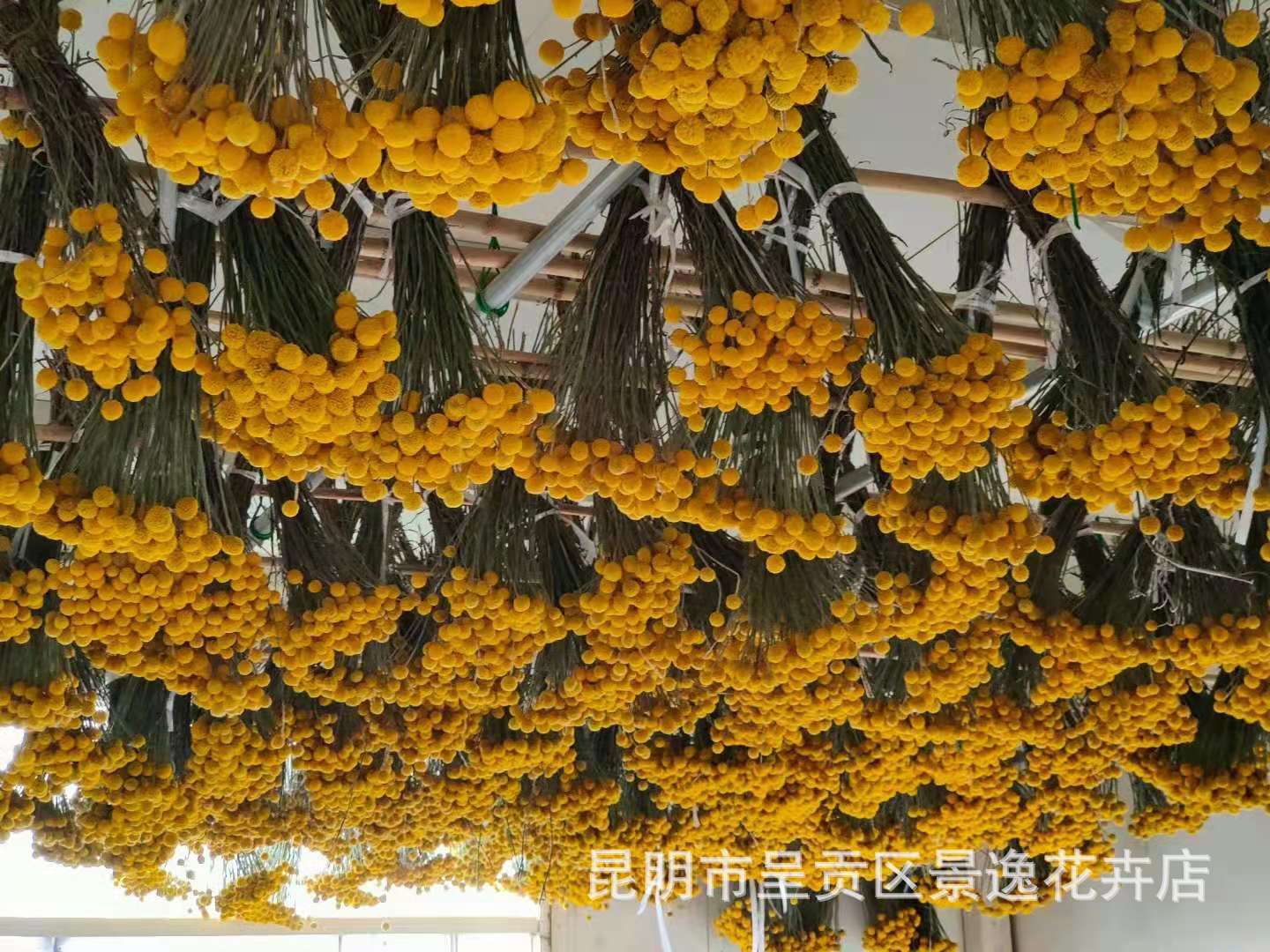 54ceaa1cc4dbdac1ec97325d2ffc24