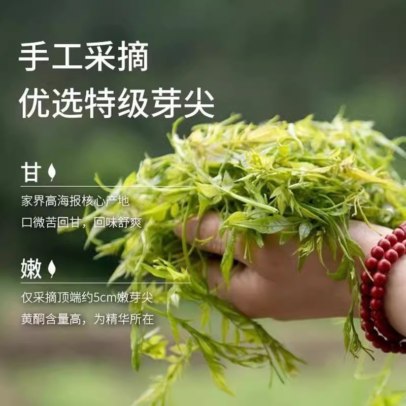 莓茶张家界野生旗舰店天门郡永顺牙尖装袋湖南霉茶的梅茶新货泡茶|undefined