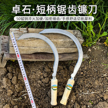 �S��ֱ�N砵��̱���X�͸�ݸ����׸��߲ˈ@ˇ�r��12��14��
