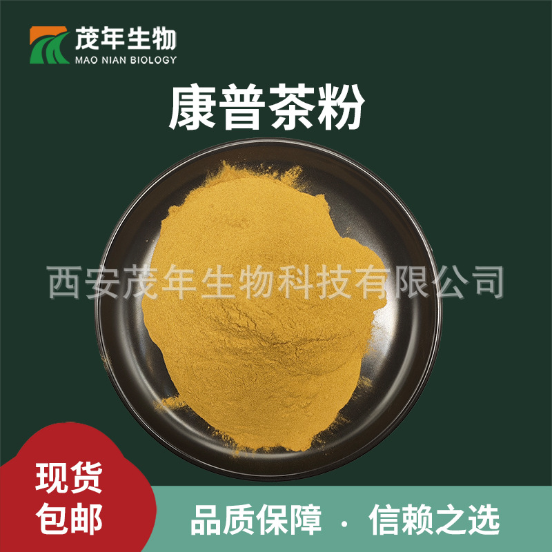 康普茶粉 发酵粉 康普茶提取物 康普茶发酵液