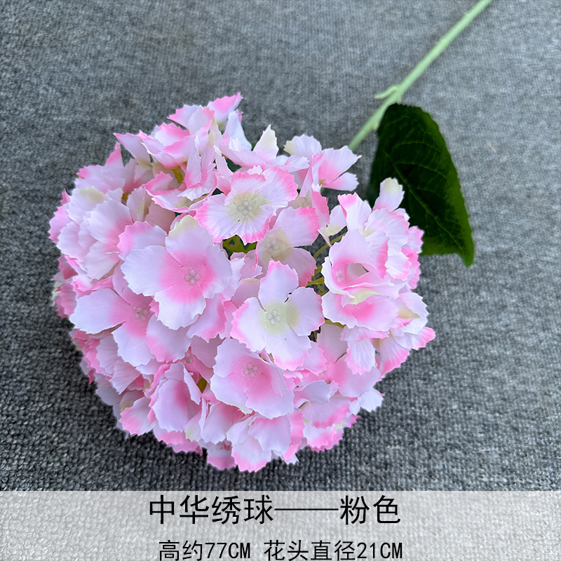 Hortensia China rosa