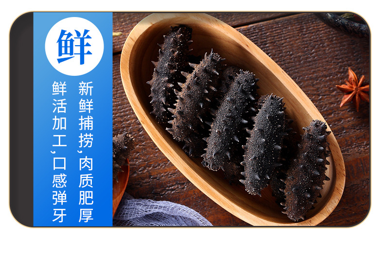 淡干海参-(1)_09