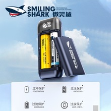 Lithium battery charger intelligent fast charging protection