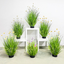 ���lע�ܾGֲ�ٲ݅����Է����JȔ��β�Ͳ��ٽz������ֲ���c�b�