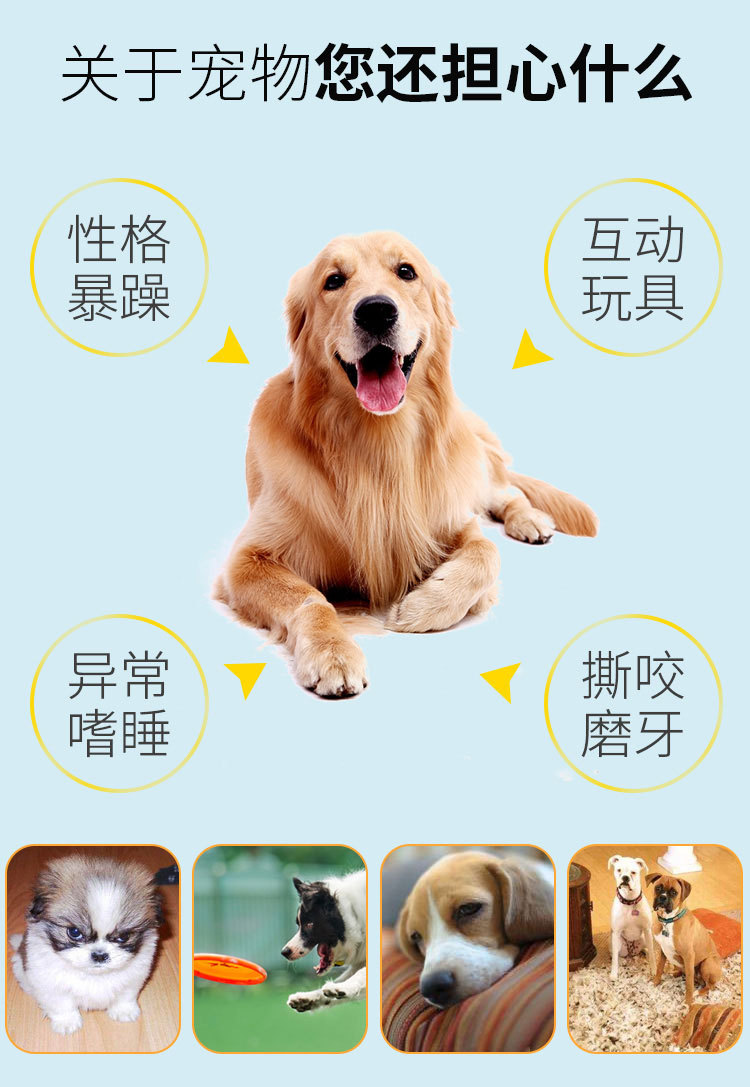 球类详情页_07.jpg