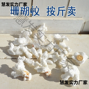 ��̨�b���Ȼ̫���ײ�ɺ���~��diy���b����֦����ؐ��䁵�ɺ��ʯ
