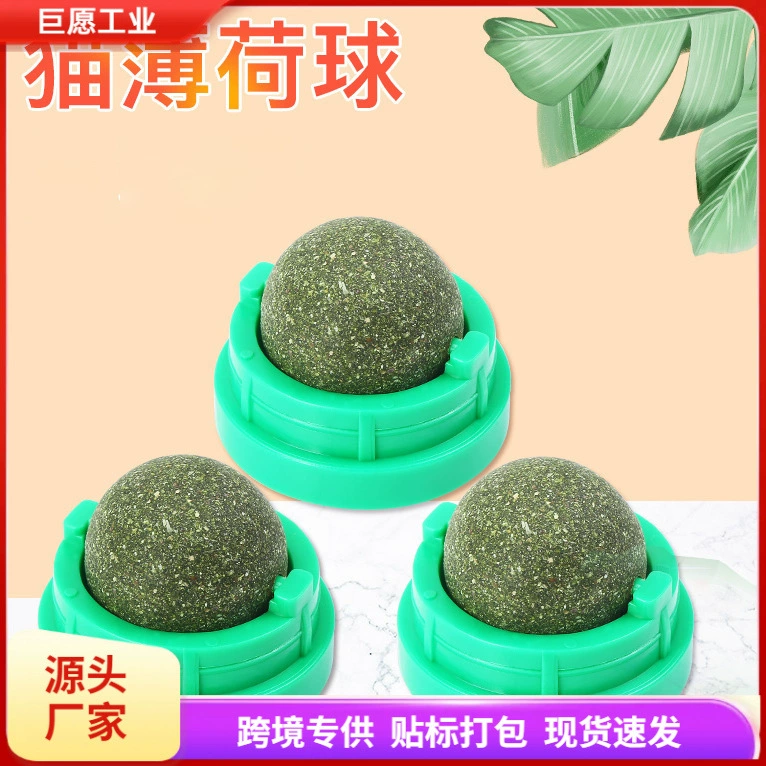 Кошачий мячик кошачий кошачий игрушка с привет