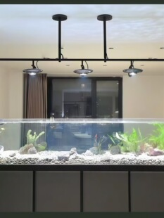 �~�ן����b֧�ܵ�픟��컨��Ϫ�����T��Ͳ���e���w��������Ϸe��