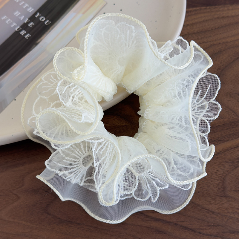 20250220-2025_02_20_13_28_IMG_