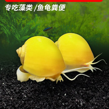 �S���ݵ�ˮ�^�p���坍�ݳ�����̦�������O���ݲ��Ӝس��~����