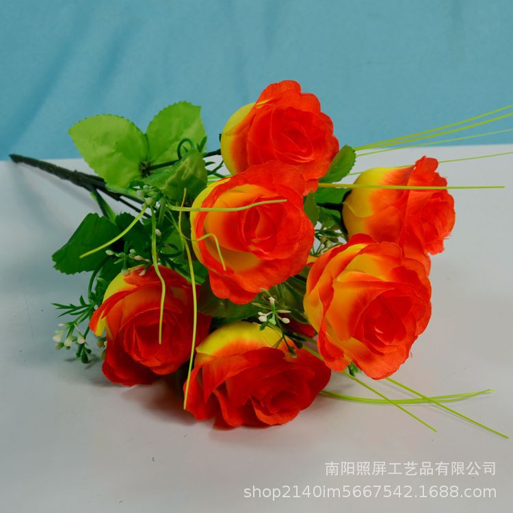 7头孔雀玫15.jpg